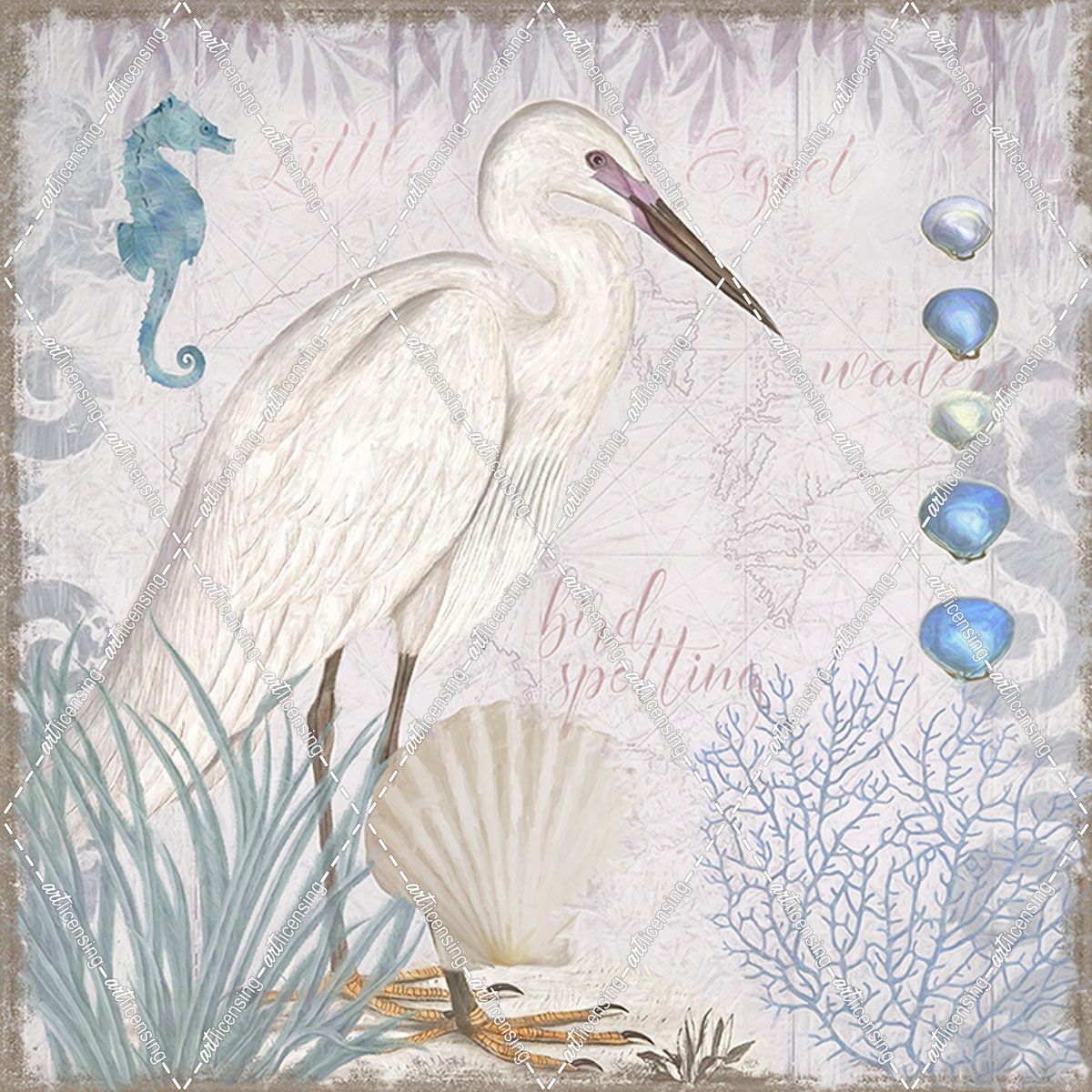 Waders II Little Egret