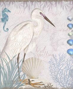 Waders II Little Egret