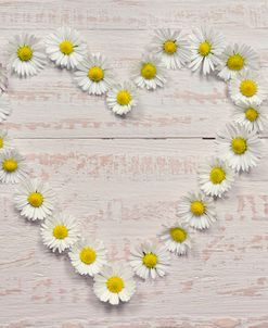 Daisy Heart I