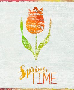 Spring Time Tulip