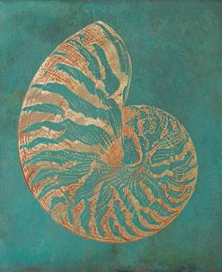 Nautilus Shell Gold on Turquois