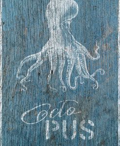 Octopus on Blue Wood
