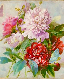 Bouquet Peonies II