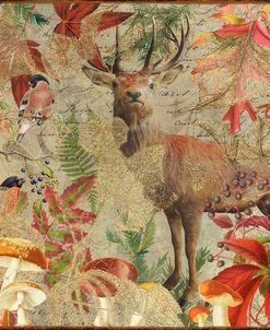 Autumn Deer