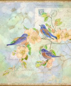 Blue Birds on Blossem Branch