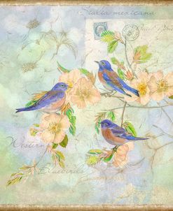Blue Birds on Blossom Branch