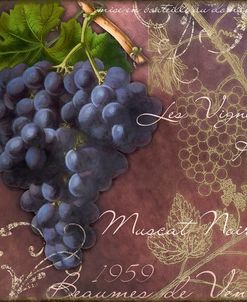 Blue Vines Black Muscat