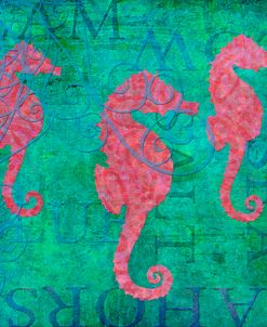 Grace Seahorses