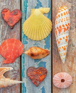Mixed Shells on Planks