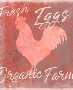 Organic Farm Rooster