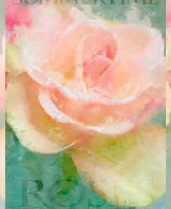 Summertime Roses I