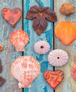 Shells and Hearts on Planks