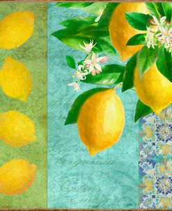 Citrus Lemon II