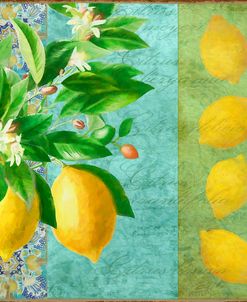 Citrus Lemon I