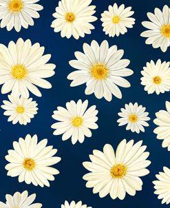 Ox-Eye Daisies on Dark Blue