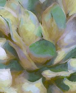 Agave Forms II