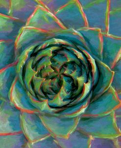 Succulent Beauty II