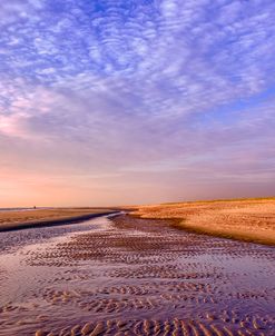 Early Morning Beach