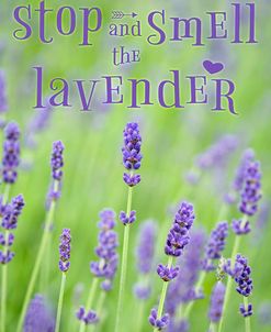 Smell the Lavender