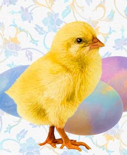 Easter Chick