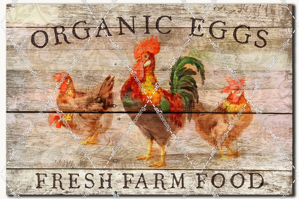 Fresh Farm Food – Organic Eggs