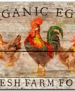 Fresh Farm Food – Organic Eggs