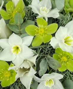 Winter Bouquet White and Green