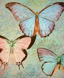 Butterfly Arabesques II