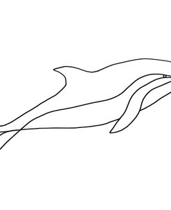 Single Line Whale