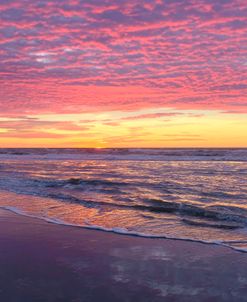 Purple Beach