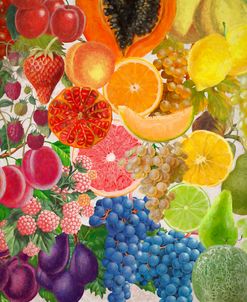 Rainbow Of Fruits