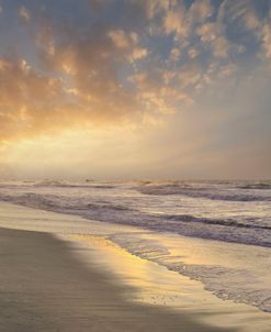 Morning Beach Walk