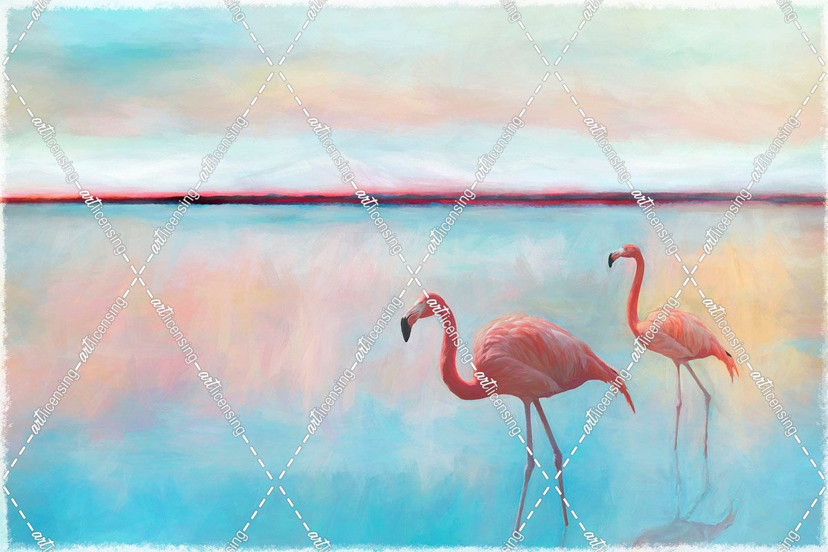 Bright Morning Flamingo’s