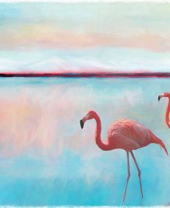 Bright Morning Flamingo’s