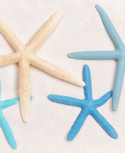 Blue and White Starfish