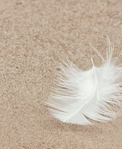 Little White Feather