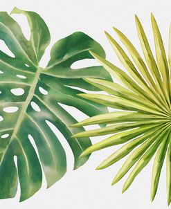 Monstera and Fan Palm Leaf
