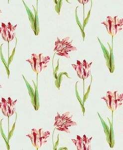 Rembrandt Tulips 2