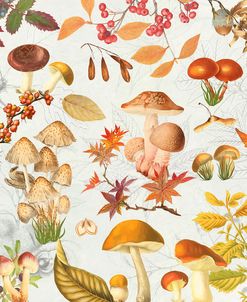 Autumn Mushrooms