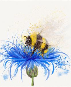 Bumblebee On Blue Cornflower