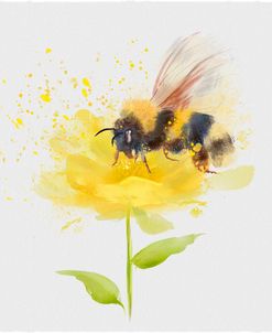 Bumblebee On Buttercup Flower