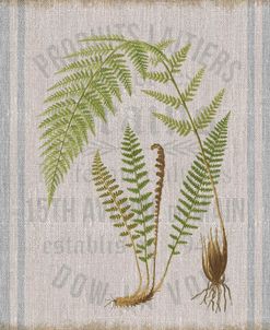 Fern On Flour Sack 03