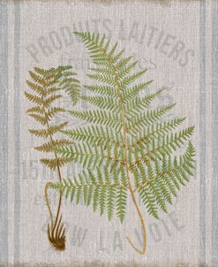 Fern On Flour Sack 04