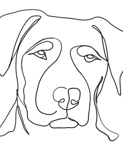 Dog Line Drawing