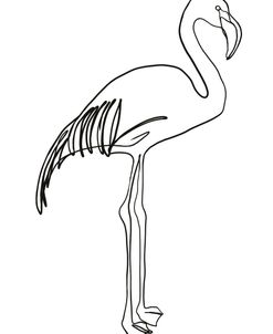 Flamingo Line Drawing