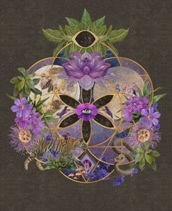 Sacred Geometry Seed Of Life