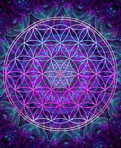 Flower Of Life