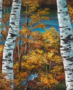 Autumn Birch