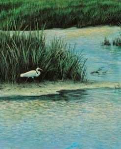 Marsh Life