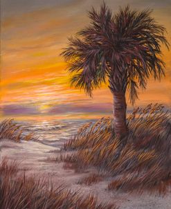 Palmetto Sunrise